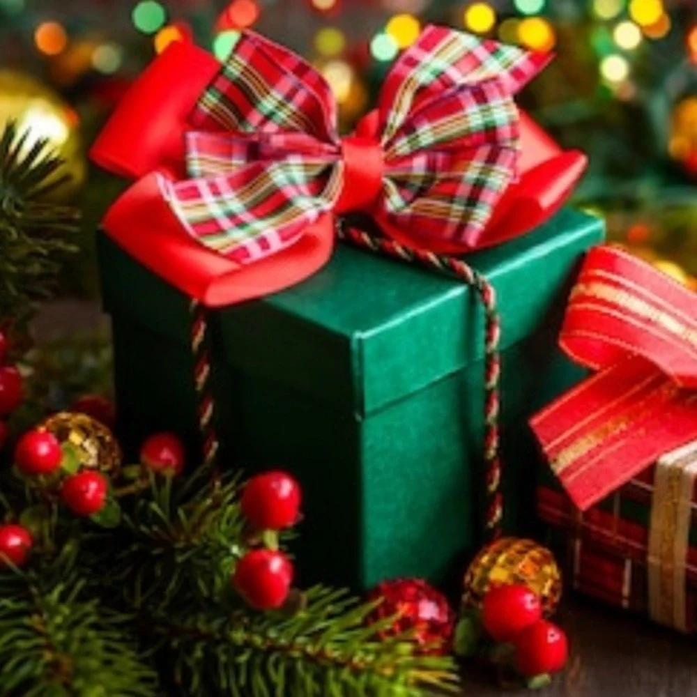 WINTER Preppy Chic 5 Piece MYSTERY BOX🎁🎄